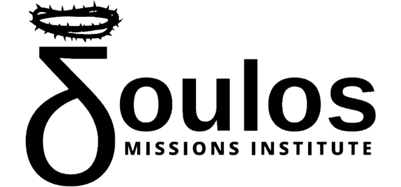 DMI Logo